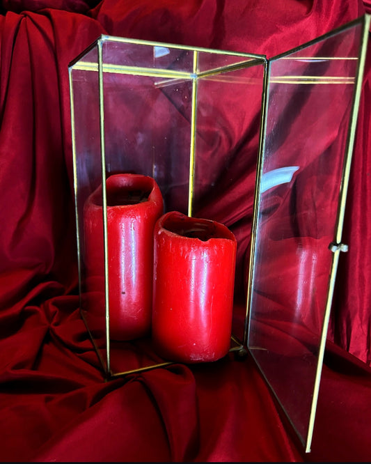 Large Glass & Brass Curio Box with Door