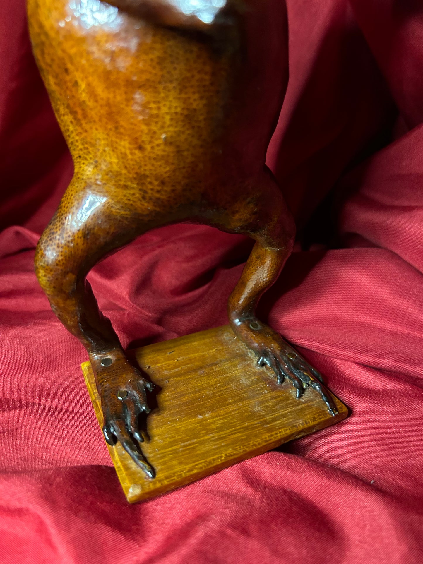 Vintage Taxidermy Frog Drinking Poison