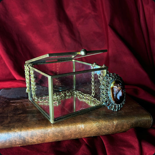 Glass & Brass Curio Box